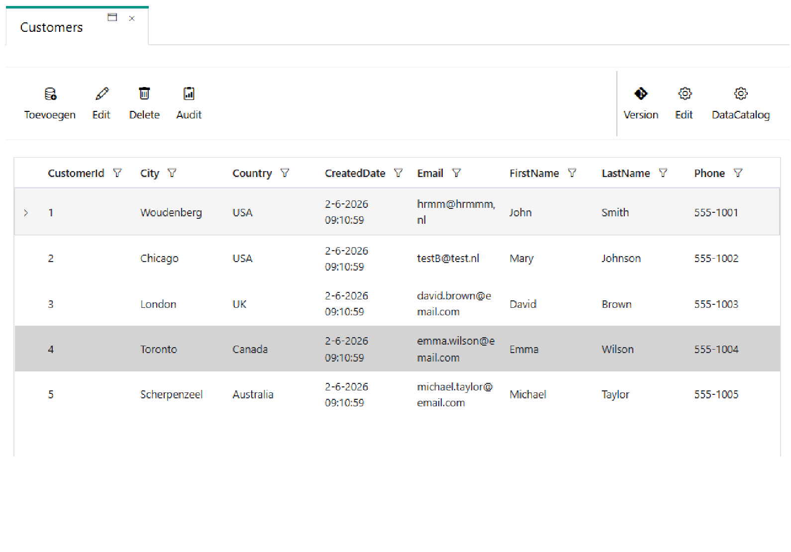 Weergave van data in dynamisch opgebouwd grid in DatabasExplorer